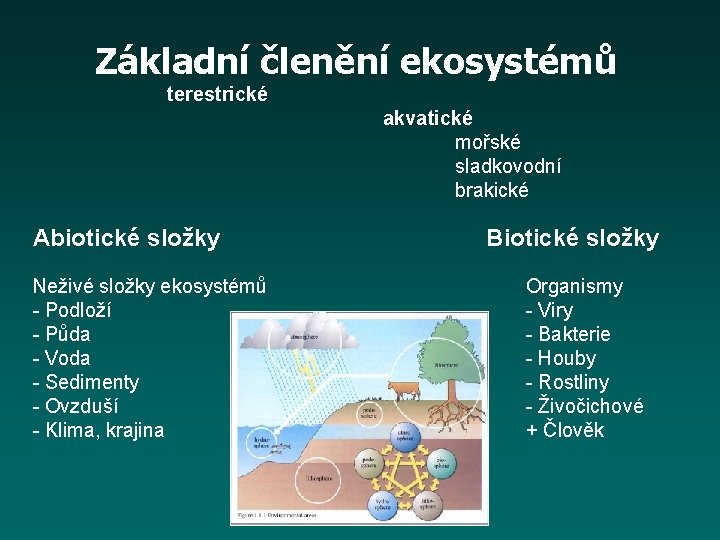 Základní členění ekosystémů terestrické akvatické mořské sladkovodní brakické Abiotické složky Neživé složky ekosystémů -