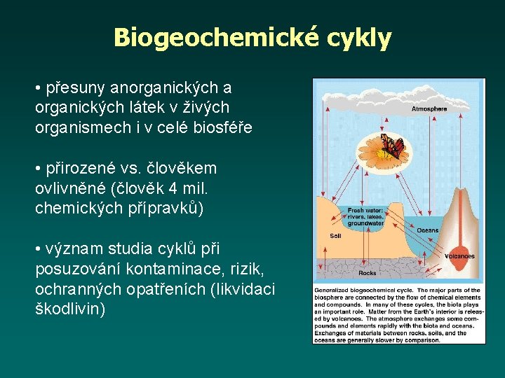 Biogeochemické cykly • přesuny anorganických a organických látek v živých organismech i v celé