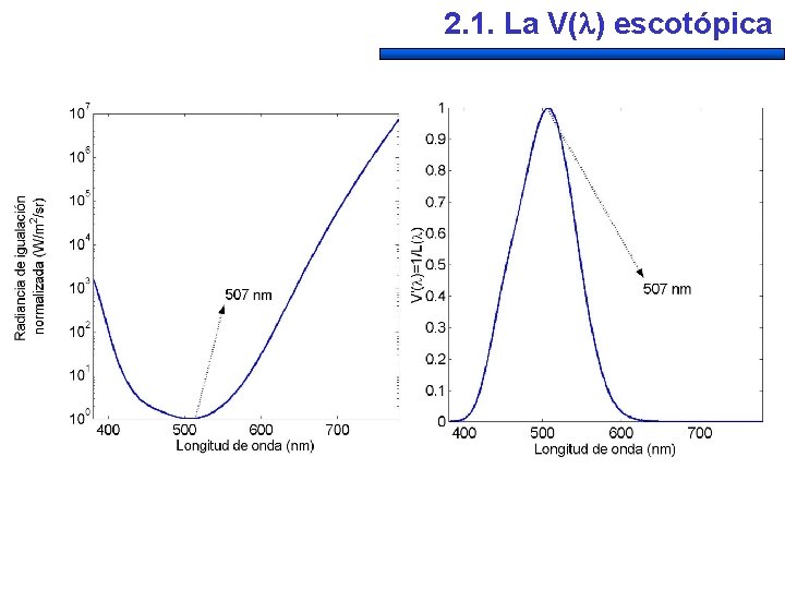 2. 1. La V( ) escotópica 