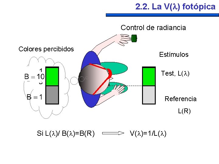 2. 2. La V( ) fotópica Control de radiancia Colores percibidos Estímulos Test, L(
