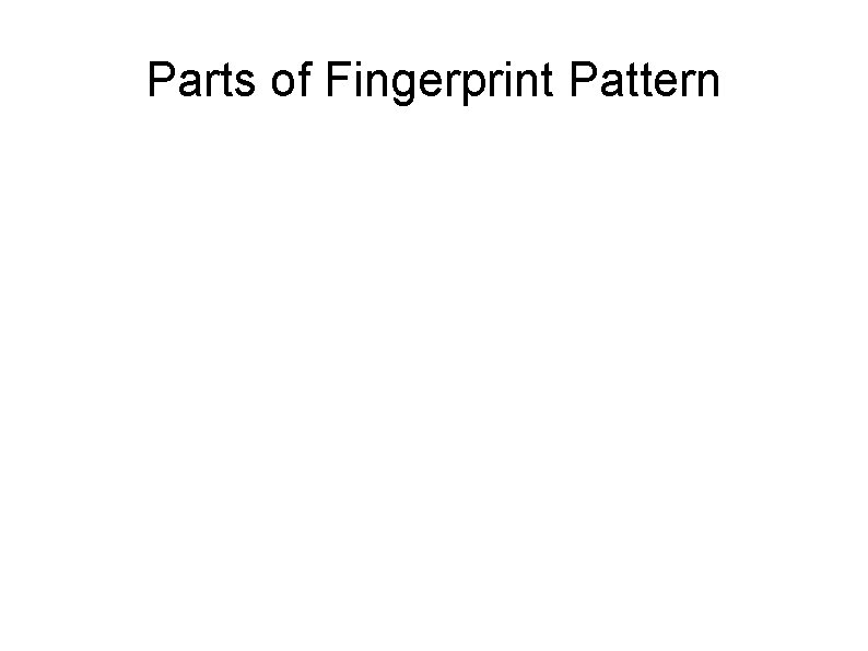 Parts of Fingerprint Pattern 