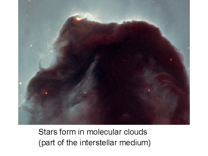 Stars form in molecular clouds (part of the interstellar medium) 