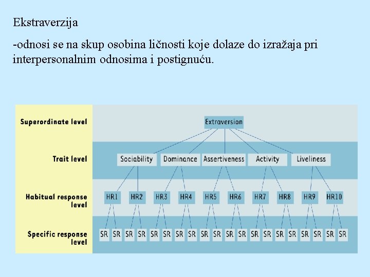 Ekstraverzija -odnosi se na skup osobina ličnosti koje dolaze do izražaja pri interpersonalnim odnosima