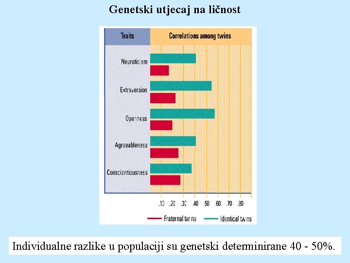 Genetski utjecaj na ličnost Individualne razlike u populaciji su genetski determinirane 40 - 50%.