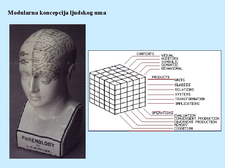 Modularna koncepcija ljudskog uma 