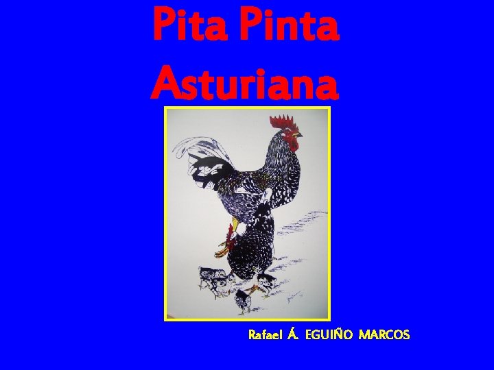 Pita Pinta Asturiana Rafael Á. EGUIÑO MARCOS 