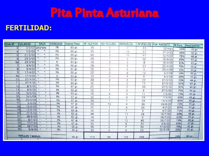 Pita Pinta Asturiana FERTILIDAD: 