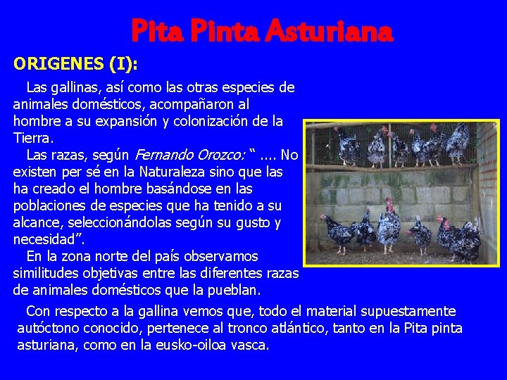 Pita Pinta Asturiana ORIGENES (I): Las gallinas, así como las otras especies de animales