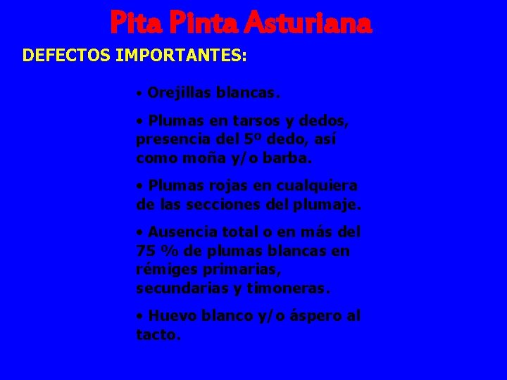 Pita Pinta Asturiana DEFECTOS IMPORTANTES: • Orejillas blancas. • Plumas en tarsos y dedos,