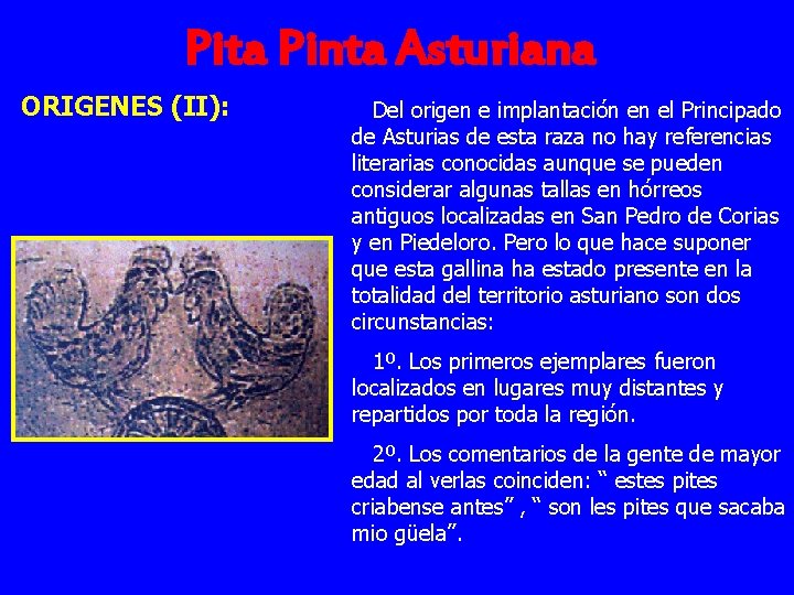 Pita Pinta Asturiana ORIGENES (II): Del origen e implantación en el Principado de Asturias