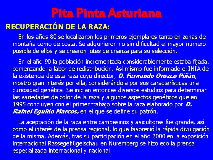 Pita Pinta Asturiana RECUPERACIÓN DE LA RAZA: En los años 80 se localizaron los