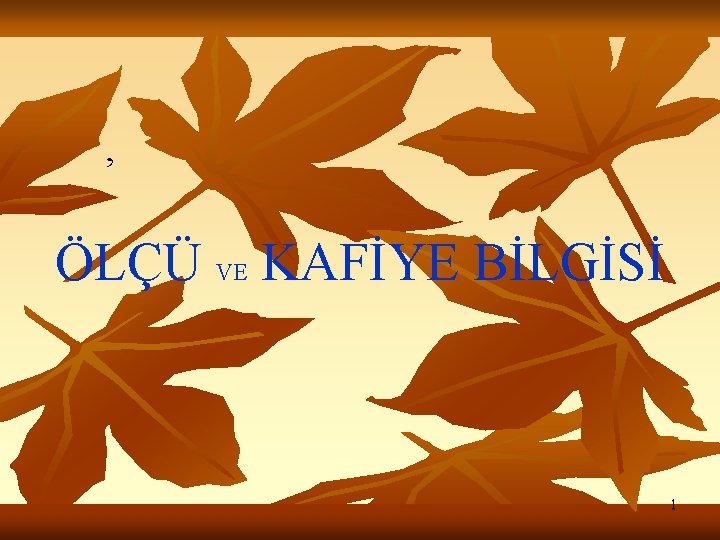 , ÖLÇÜ VE KAFİYE BİLGİSİ 1 