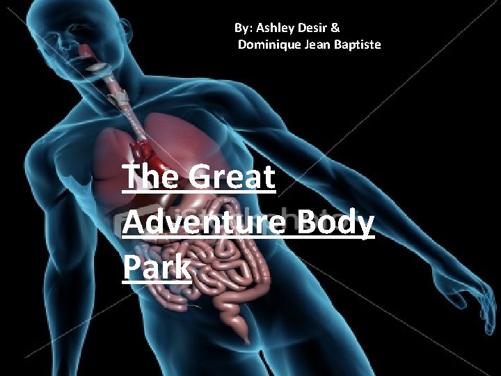 By: Ashley Desir & Dominique Jean Baptiste The Great Adventure Body Park 