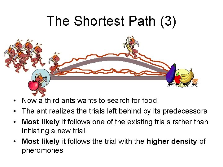 The Shortest Path (3) Nest Food • Now a third ants wants to search