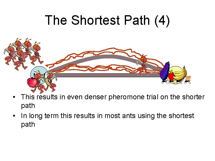 The Shortest Path (4) Nest Food • This results in even denser pheromone trial