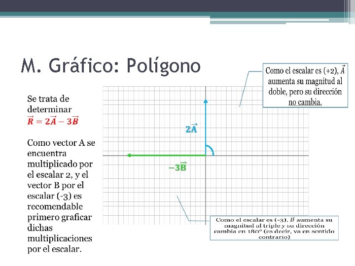 M. Gráfico: Polígono 