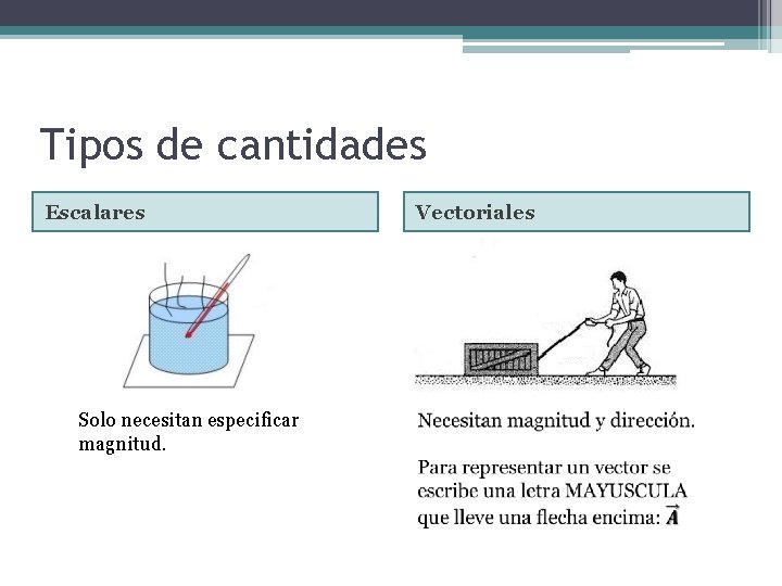 Tipos de cantidades Escalares Solo necesitan especificar magnitud. Vectoriales 