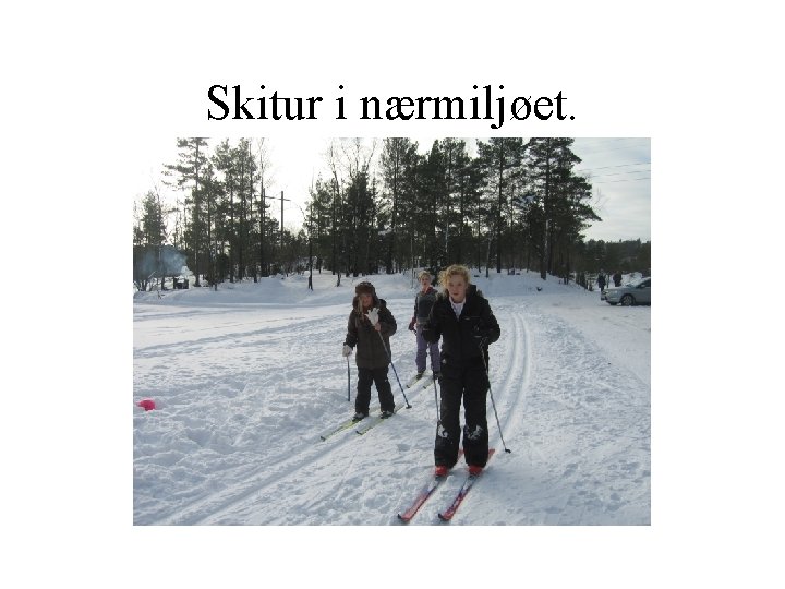 Skitur i nærmiljøet. 