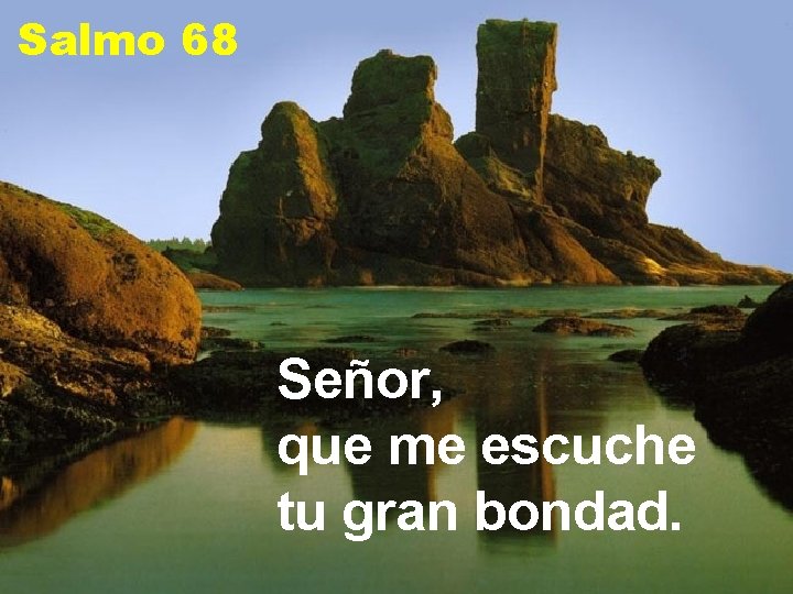 Salmo 68 Señor, que me escuche tu gran bondad. 