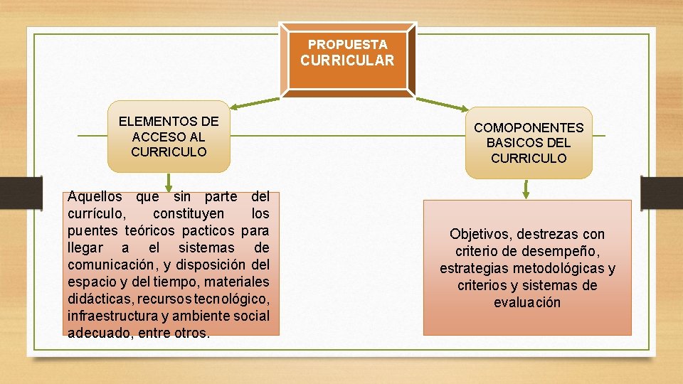 PROPUESTA CURRICULAR ELEMENTOS DE ACCESO AL CURRICULO COMOPONENTES BASICOS DEL CURRICULO Aquellos que sin