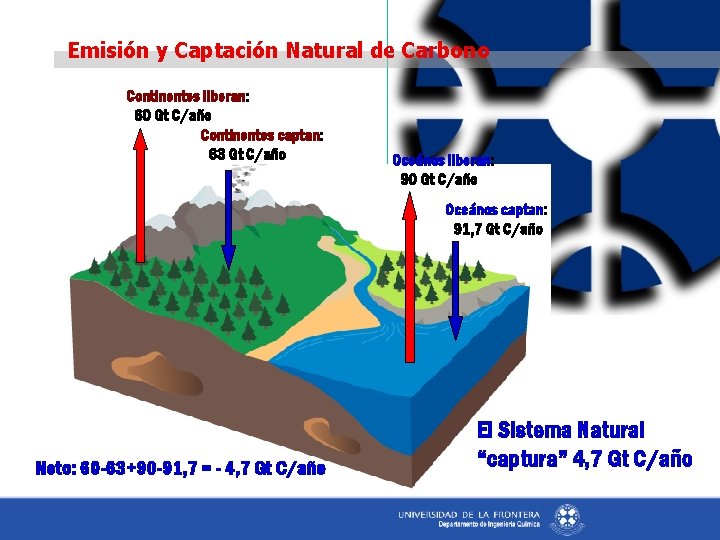 Emisión y Captación Natural de Carbono Continentes liberan: 60 Gt C/año Continentes captan: 63