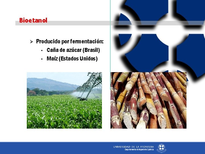 Bioetanol Ø Producido por fermentación: • Caña de azúcar (Brasil) • Maíz (Estados Unidos)
