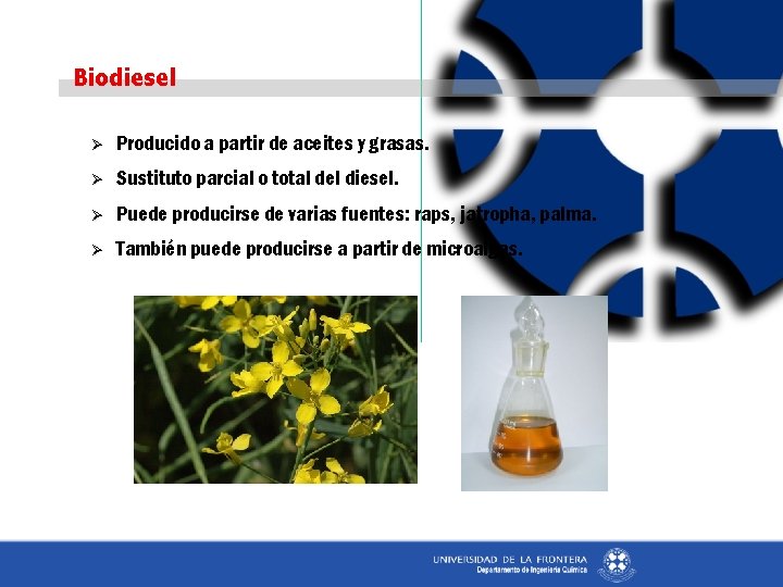 Biodiesel Ø Producido a partir de aceites y grasas. Ø Sustituto parcial o total