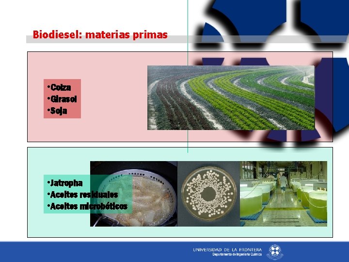 Biodiesel: materias primas • Colza • Girasol • Soja • Jatropha • Aceites residuales