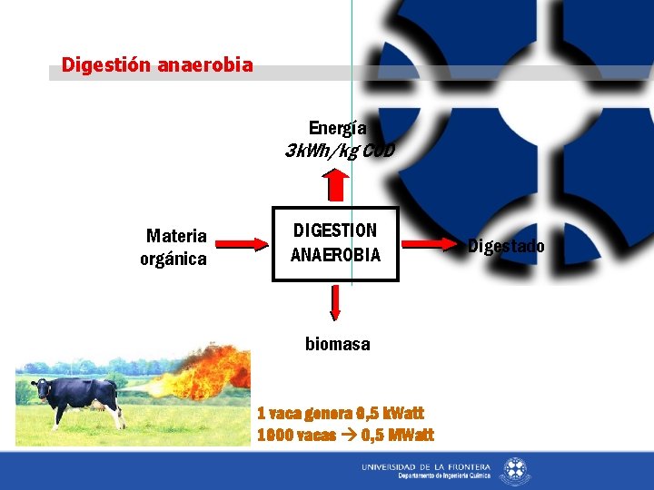 Digestión anaerobia Energía 3 k. Wh/kg COD Materia orgánica DIGESTION ANAEROBIA biomasa 1 vaca