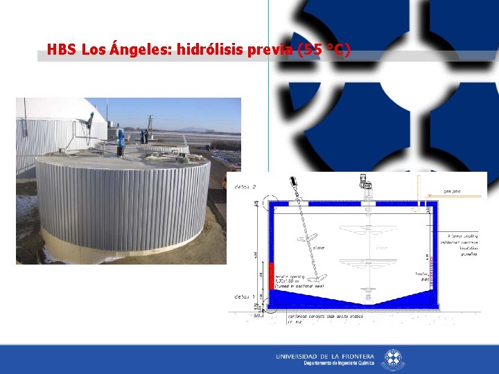HBS Los Ángeles: hidrólisis previa (55 °C) 