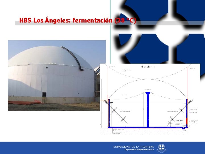 HBS Los Ángeles: fermentación (38 °C) 