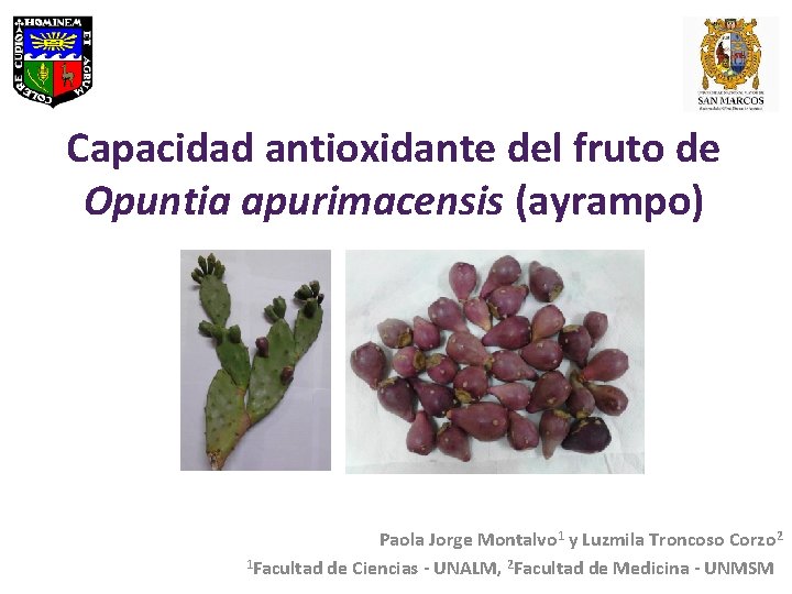 Capacidad antioxidante del fruto de Opuntia apurimacensis (ayrampo) Paola Jorge Montalvo 1 y Luzmila