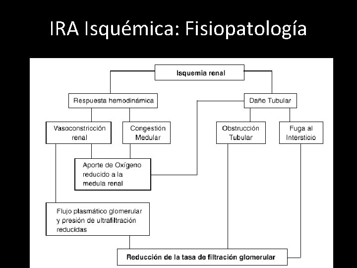 IRA Isquémica: Fisiopatología 