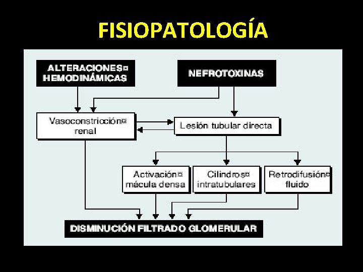 FISIOPATOLOGÍA 