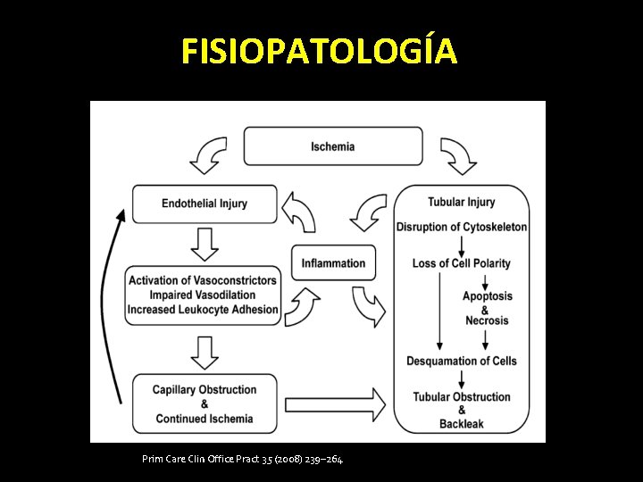 FISIOPATOLOGÍA Prim Care Clin Office Pract 35 (2008) 239– 264 