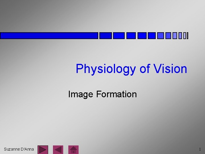 Physiology of Vision Image Formation Suzanne D'Anna 1 