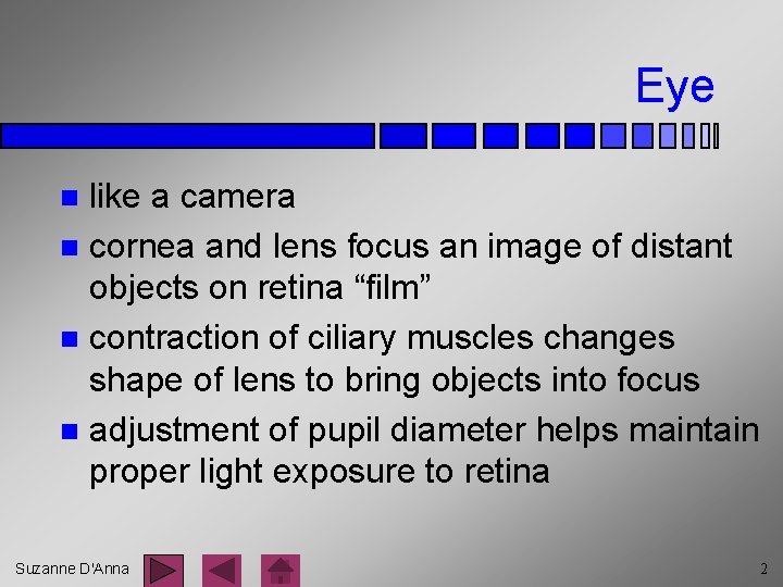 Eye like a camera n cornea and lens focus an image of distant objects