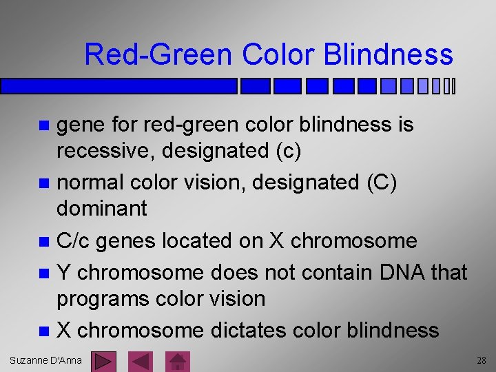 Red-Green Color Blindness gene for red-green color blindness is recessive, designated (c) n normal