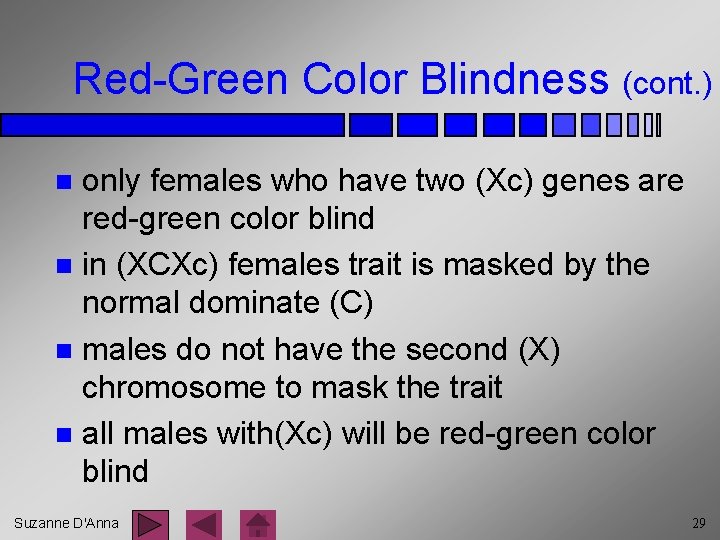 Red-Green Color Blindness (cont. ) only females who have two (Xc) genes are red-green