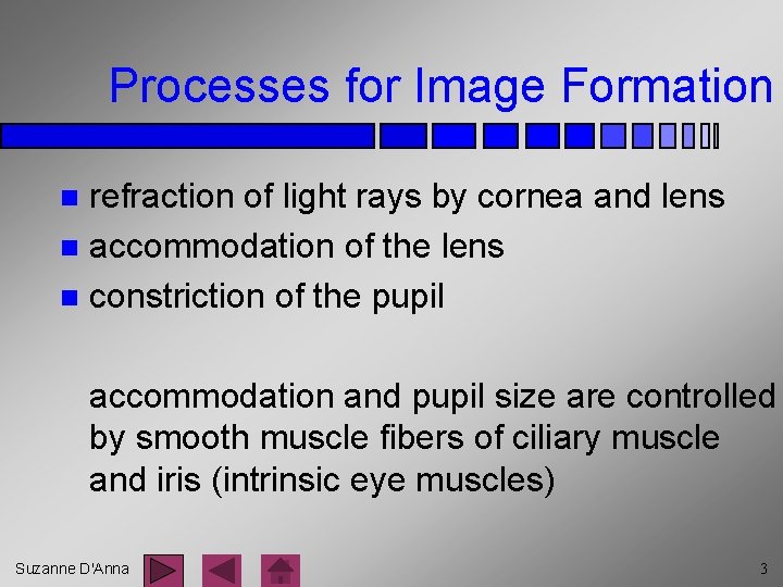 Processes for Image Formation refraction of light rays by cornea and lens n accommodation