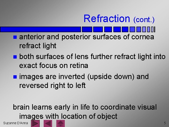 Refraction (cont. ) anterior and posterior surfaces of cornea refract light n both surfaces