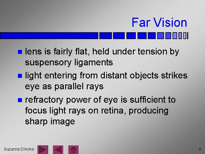 Far Vision lens is fairly flat, held under tension by suspensory ligaments n light