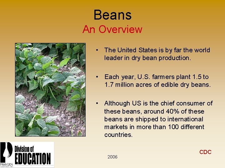 Beans An Overview • The United States is by far the world leader in