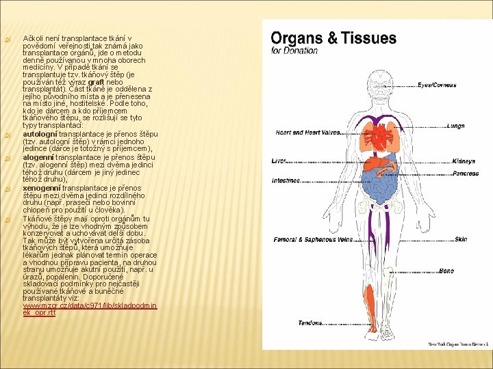  Ačkoli není transplantace tkání v povědomí veřejnosti tak známá jako transplantace orgánů, jde