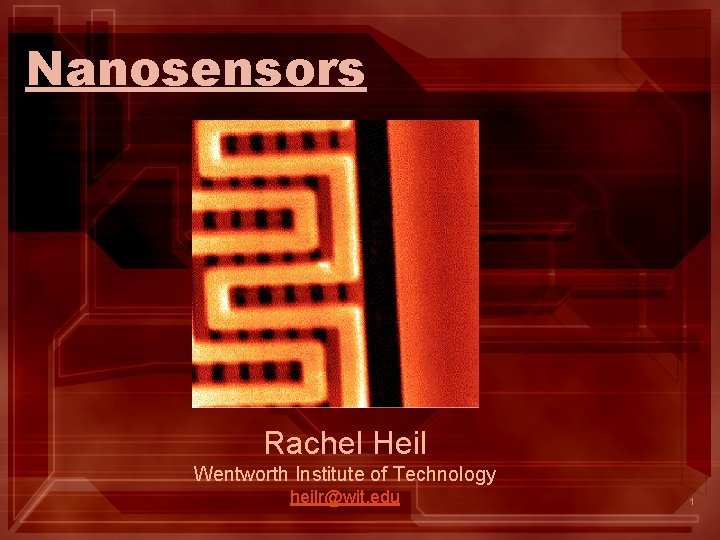 Nanosensors Rachel Heil Wentworth Institute of Technology heilr@wit. edu 1 