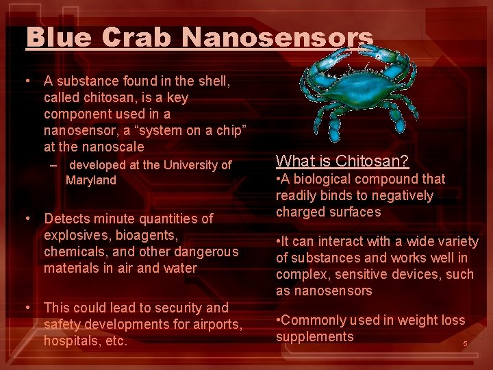 Blue Crab Nanosensors • A substance found in the shell, called chitosan, is a