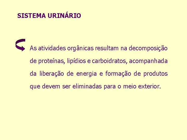 SISTEMA URINÁRIO As atividades orgânicas resultam na decomposição de proteínas, lipídios e carboidratos, acompanhada