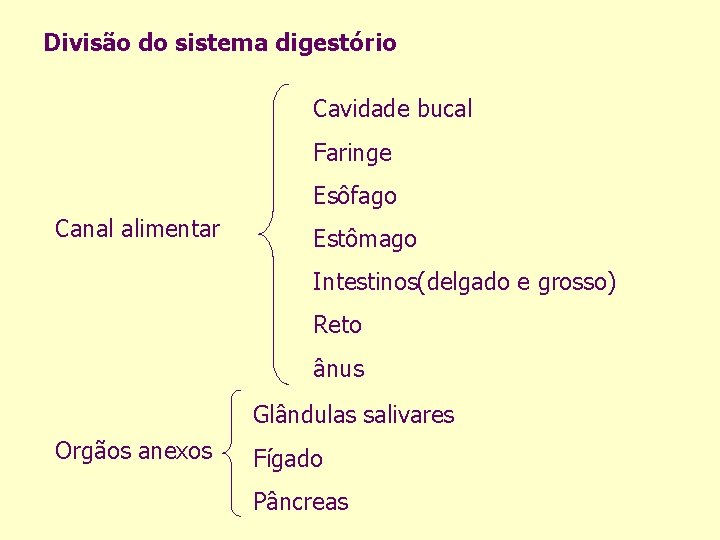 Divisão do sistema digestório Cavidade bucal Faringe Esôfago Canal alimentar Estômago Intestinos(delgado e grosso)