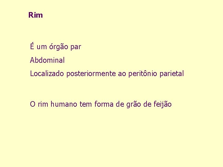 Rim É um órgão par Abdominal Localizado posteriormente ao peritônio parietal O rim humano