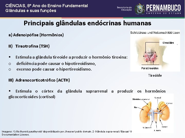 Cincias da Natureza e suas Tecnologias Cincias Ensino